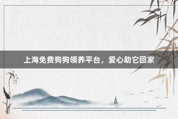 上海免费狗狗领养平台，爱心助它回家